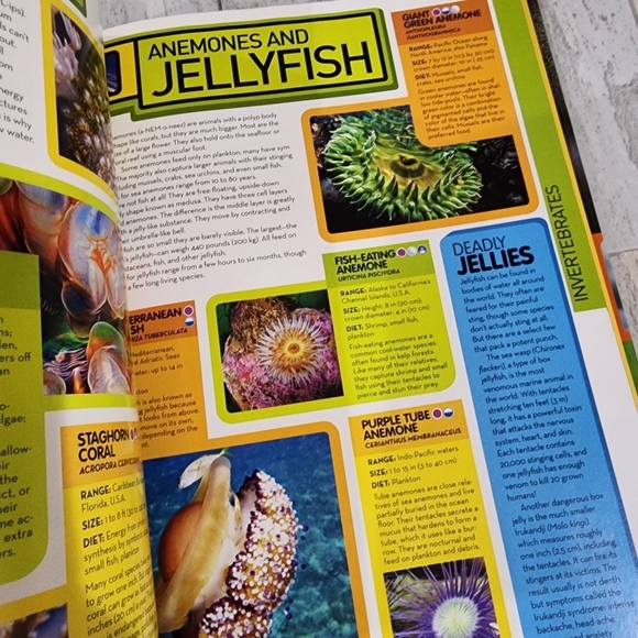 National Geographic Animal Encyclopedia - Picture 9 of 15